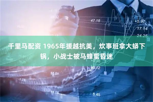 千里马配资 1965年援越抗美，炊事班拿大蟒下锅，小战士被马蜂蜇昏迷