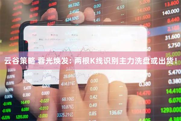 云谷策略 蓉光焕发: 两根K线识别主力洗盘或出货！