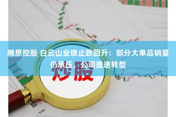 腾思控股 白云山业绩止跌回升：部分大单品销量仍承压，公司提速转型