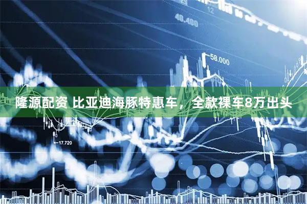 隆源配资 比亚迪海豚特惠车，全款裸车8万出头