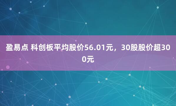盈易点 科创板平均股价56.01元，30股股价超300元
